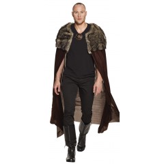 Cape Night-Hunter